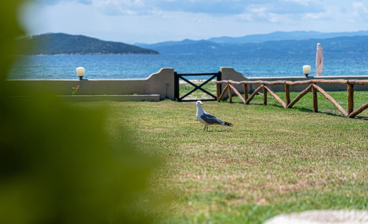 Willa Alemar Estates Ouranoupolis Zewnętrze zdjęcie